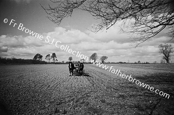 SOWING OATS